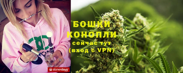 mdpv Волоколамск