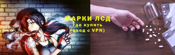 стаф Волосово
